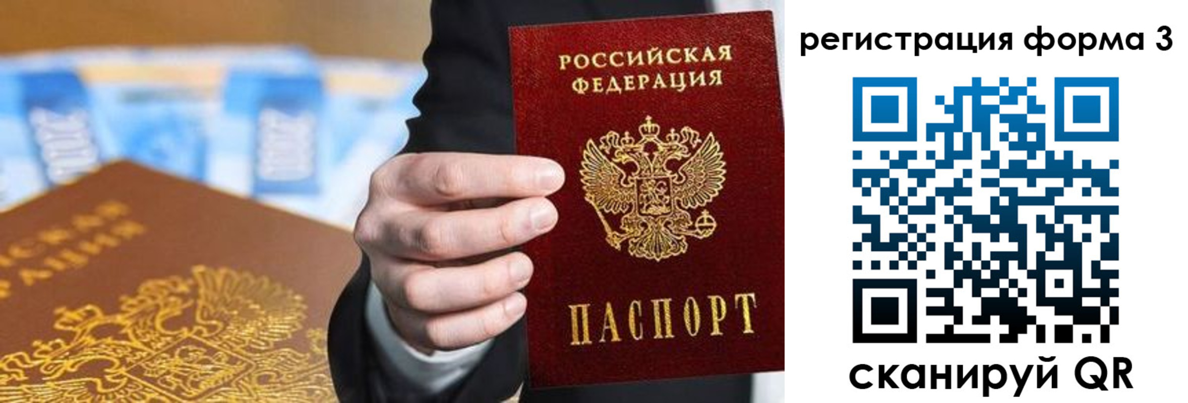 прописка законно в Сольцах